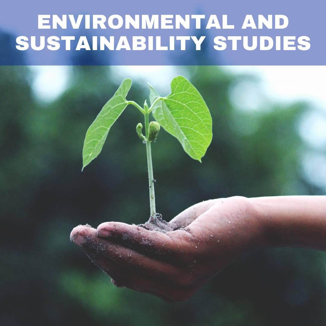 environmental and sustainability photo for career guide